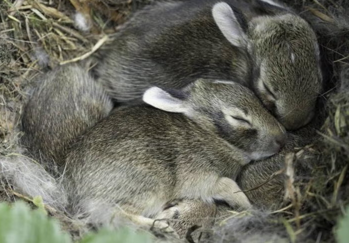 Screenshot 2026 04 23 121439