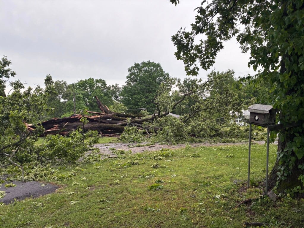 680140059 1376610261161144 2065345209195929043 N