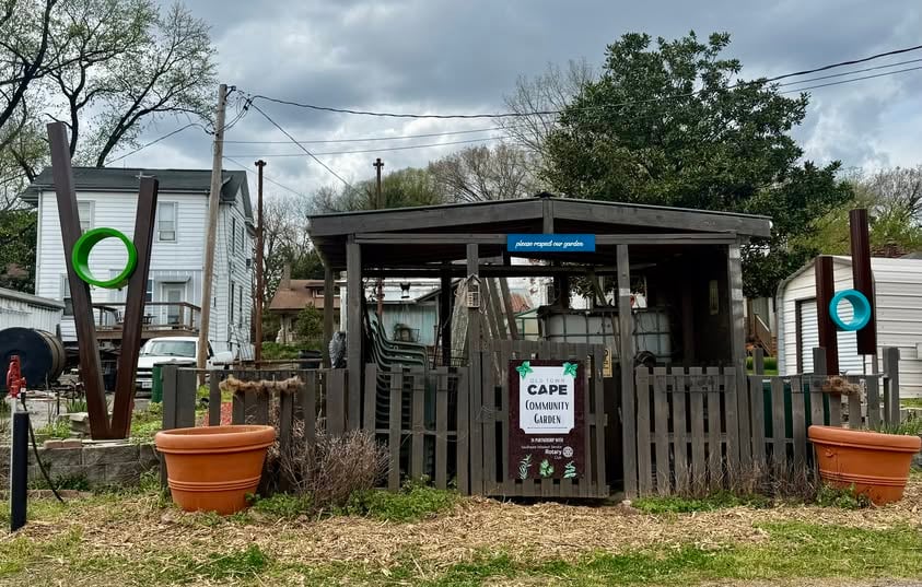 667730244 1537299718400277 6307114407623500130 N