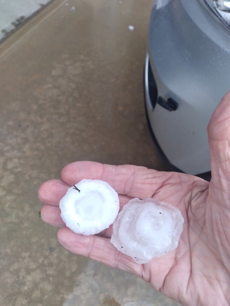 674811792 1276874577925270 8567292767645612048 N