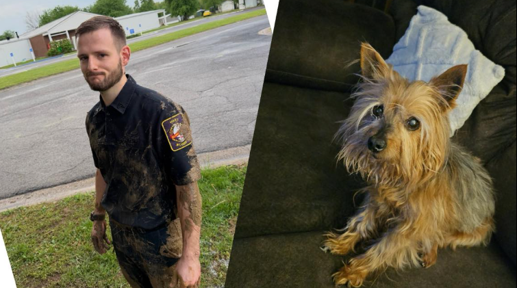 Screenshot 2026 04 17 121918