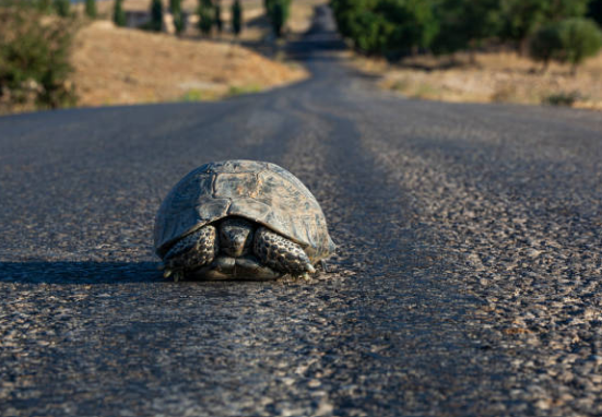 Screenshot 2026 04 29 101858