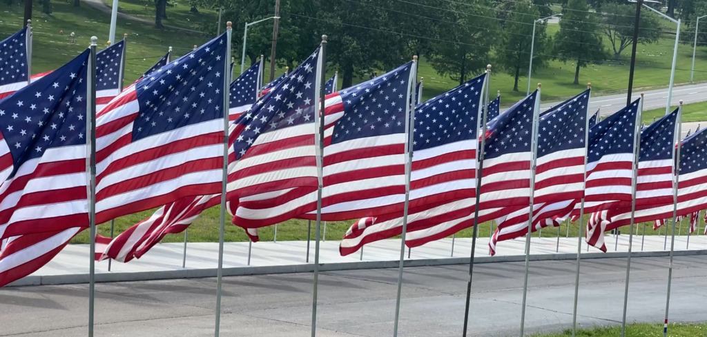 flag display