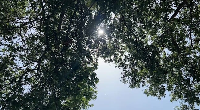 Sun