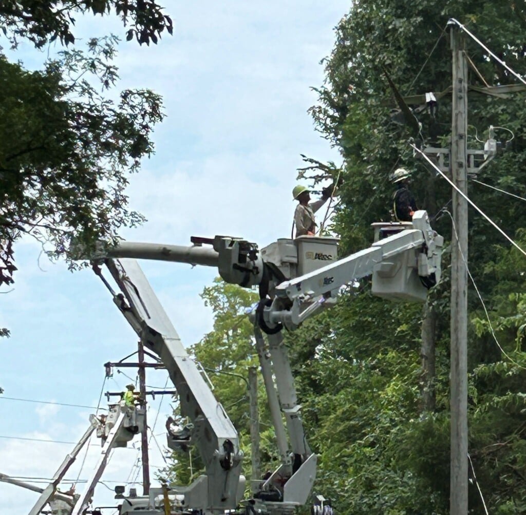 740601846 1940525756619504 8107141452665313149 N