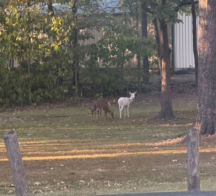 (Source: Benton Community Park District)