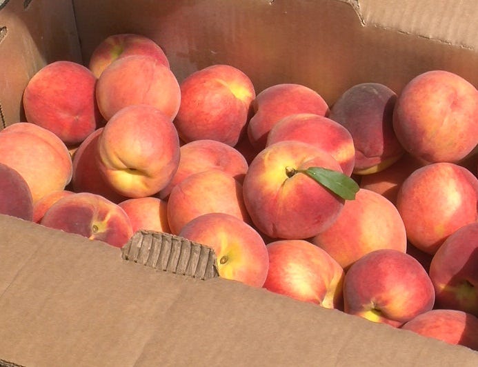 Fresh fruit truck stops in Lincoln
