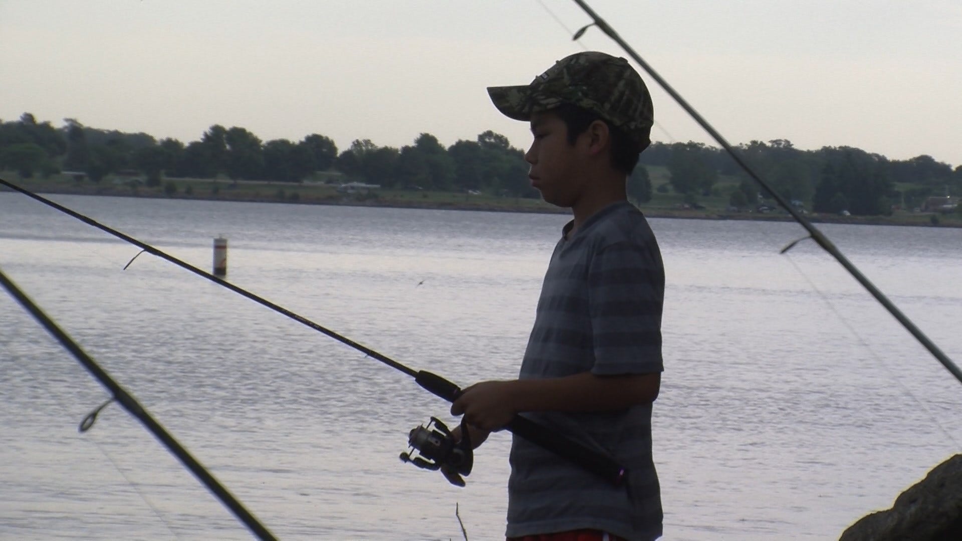 White perch plague Branched Oak Lake
