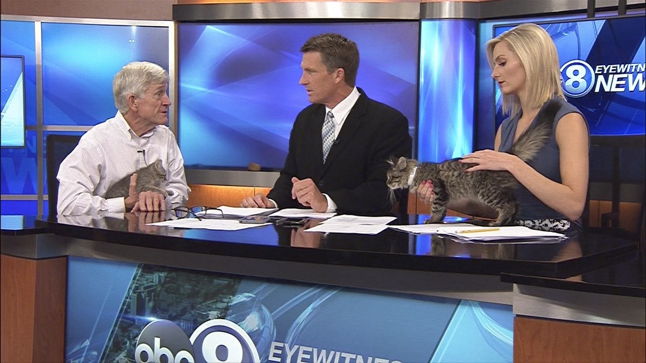 Bob Downey Of The Capital Humane Society
