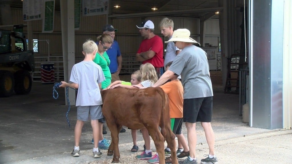 Gage County Fair begins