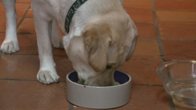 what dog food brand has the most recalls