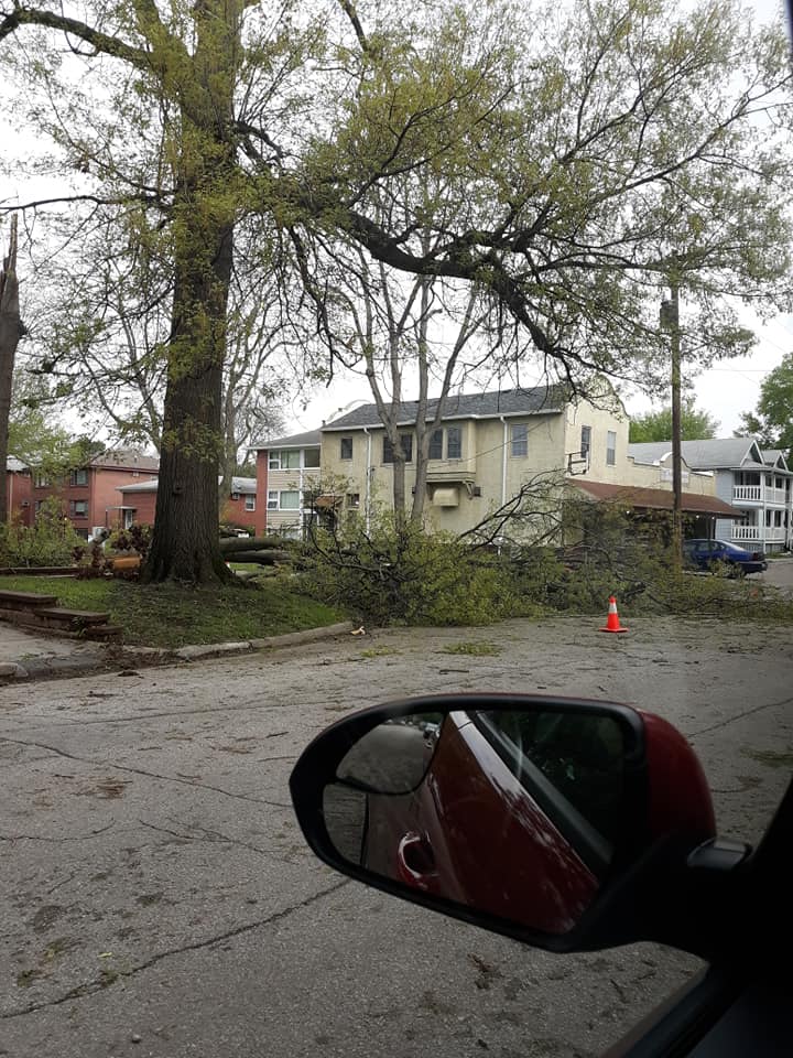 Here's how to report tree debris