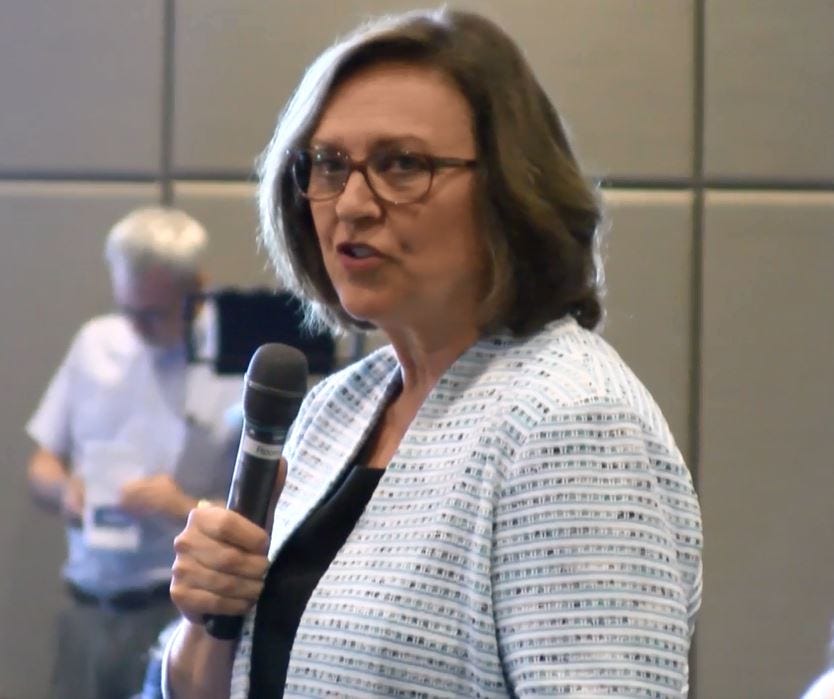 Nebraska Senator Deb Fischer talks gun law reform, background ch