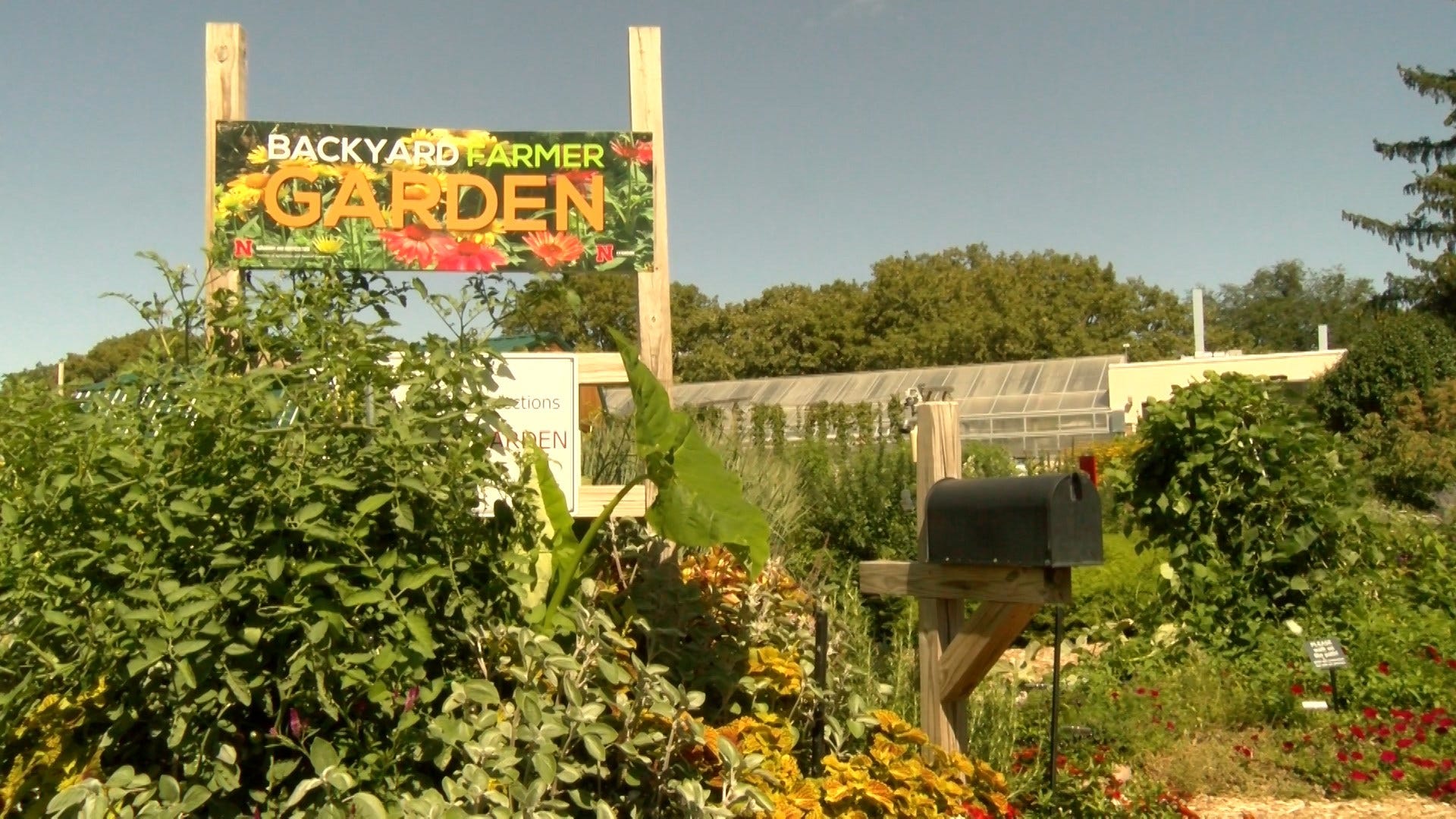 Backyard Farmer Garden For Unl Students And Lincoln Citizens