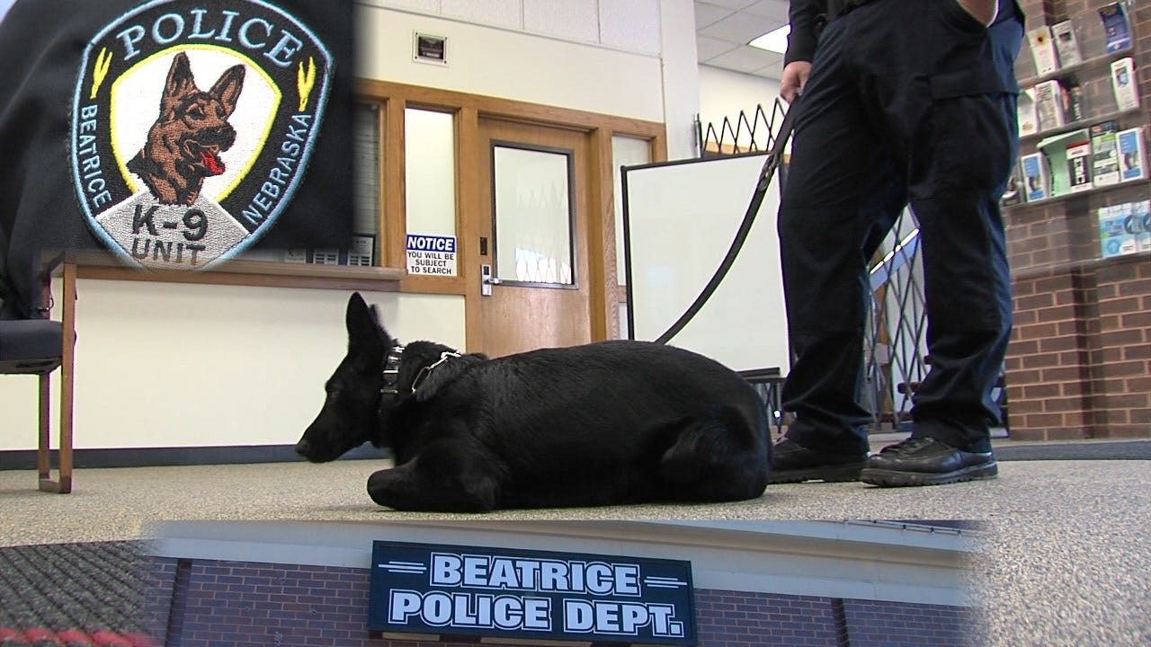 Beatrice Police adds a K9 member to the team