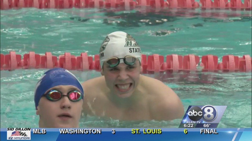 State Swimming Finals: Palmer, Lincoln Swimmers Shine
