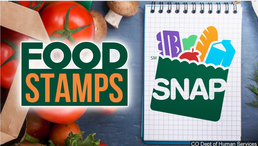 snap food stamps