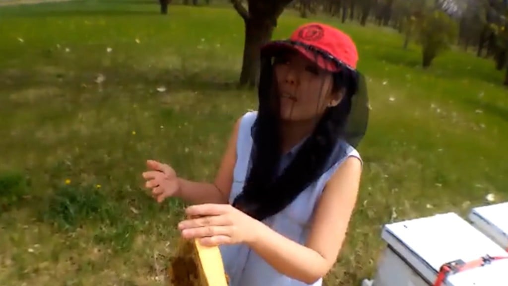 Bee2