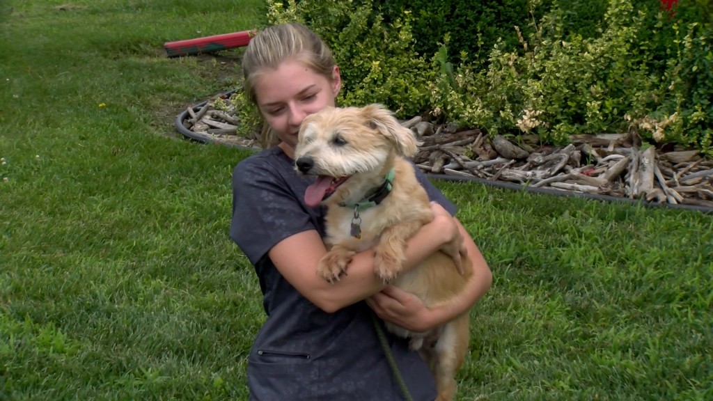 Pet caregiver provides tips to keep your animals calm Pet caregiver provides tips to keep your animals calm