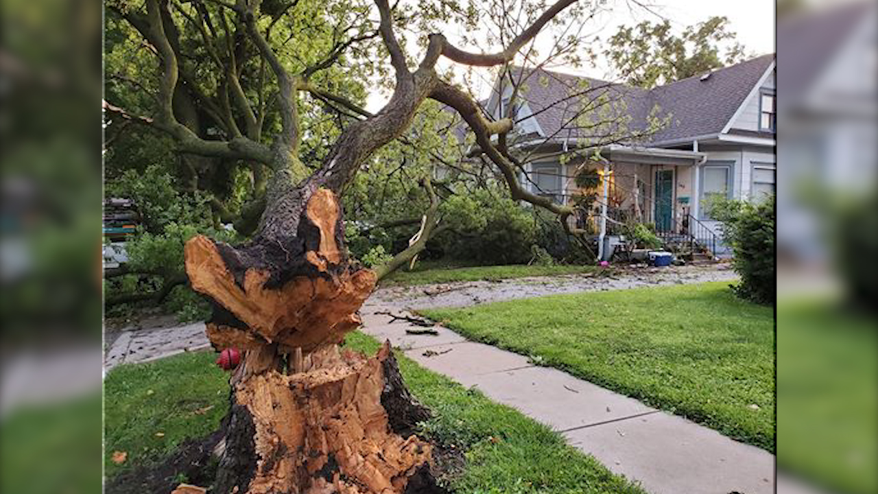 PHOTO GALLERY: Storm damage in Lincoln, surrounding area