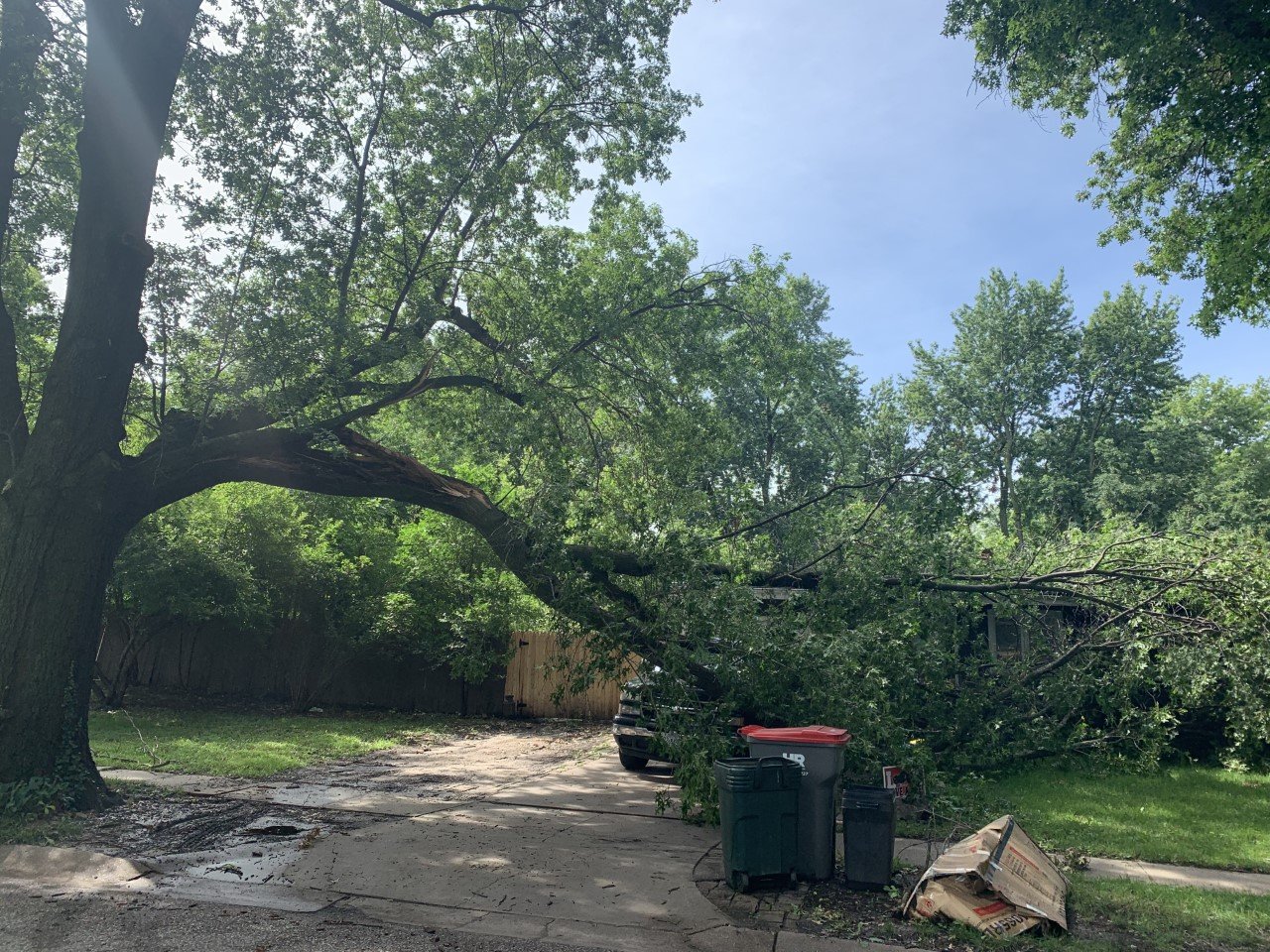 High winds to blame for storm damage across Lincoln