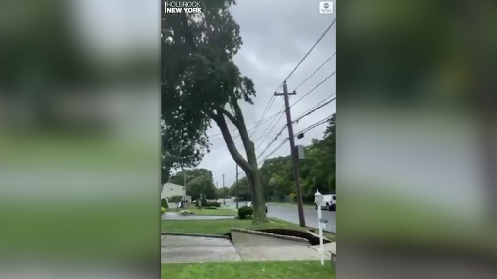 Tree Misses Home During Tropical Storm Isaias