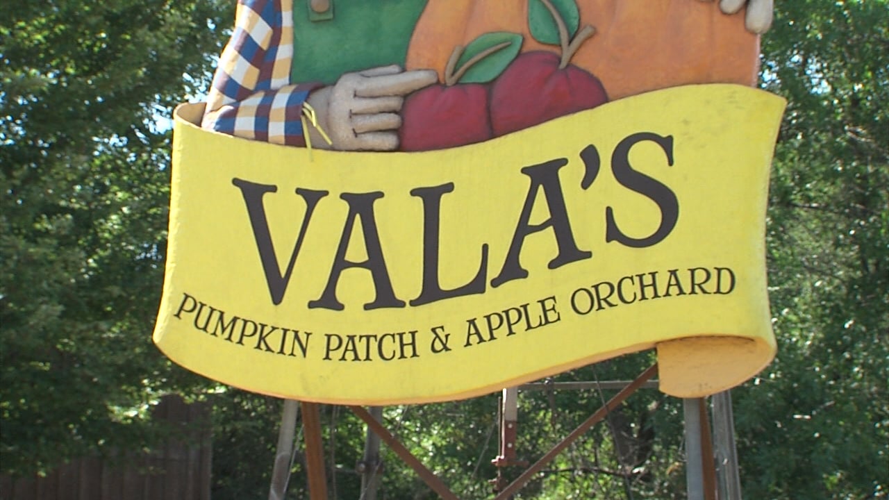 Vala's Pumpkin Patch set to reopen in September