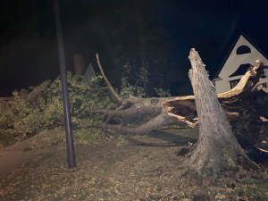 Storm Damage 8