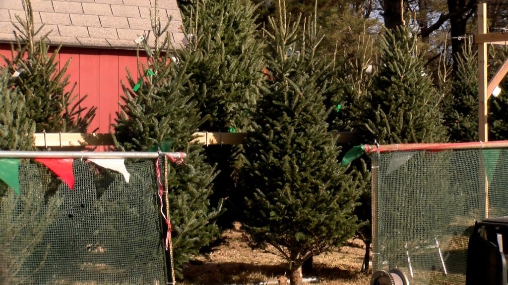 Local Christmas tree farms seeing record breaking sales - KLKN-TV