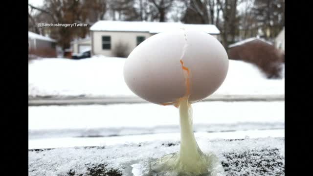 Frozen Egg In Omaha