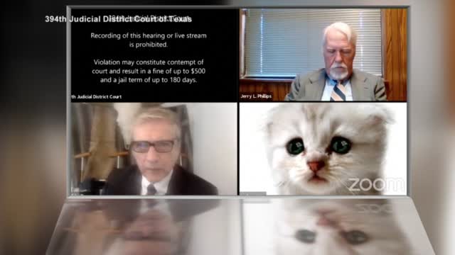 Watch Zoom Gone Wrong I Am Not A Cat During Court Hearing