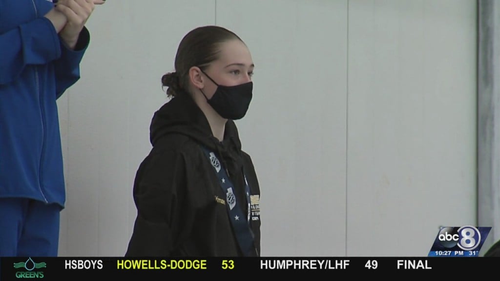 State Diving Meet
