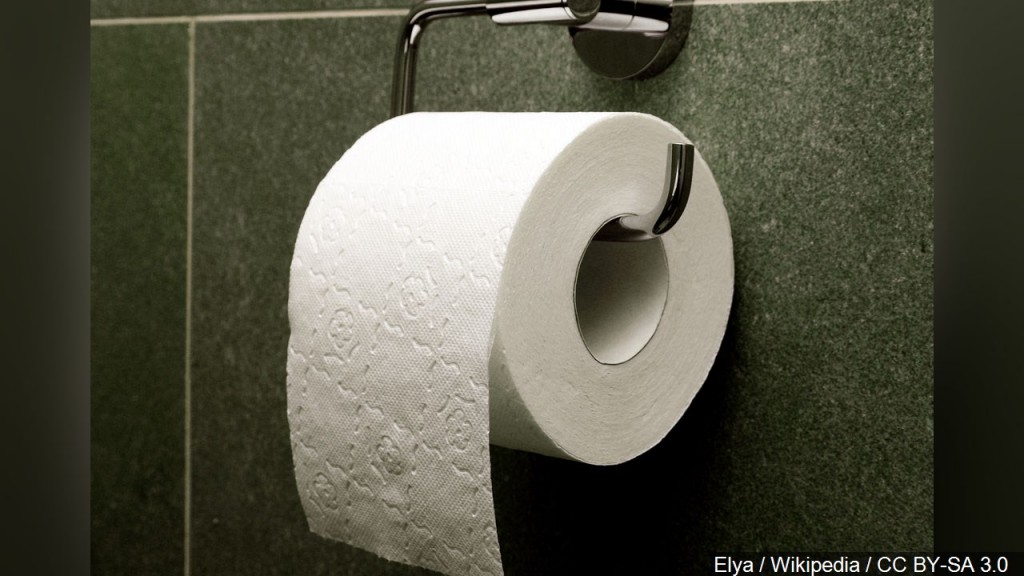 Toilet paper