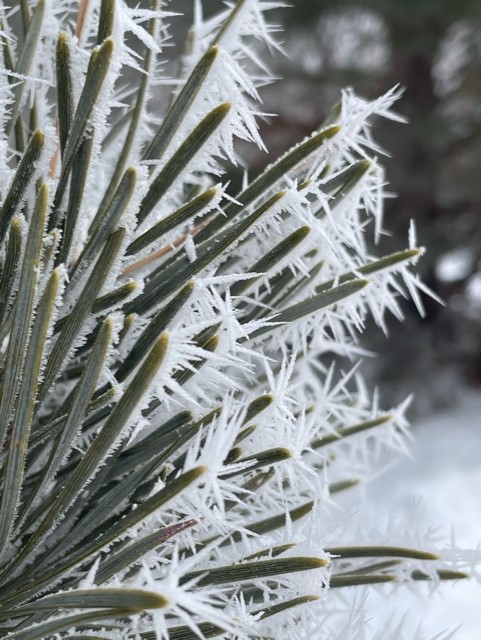 How does frost form?