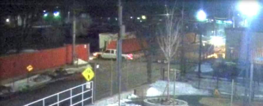 Cat Stolen From Unl Property