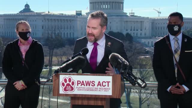 Congressmen Ask For The Va To Provide Service Dogs
