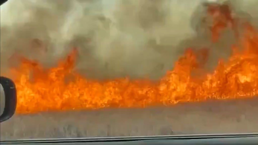 Fire Web