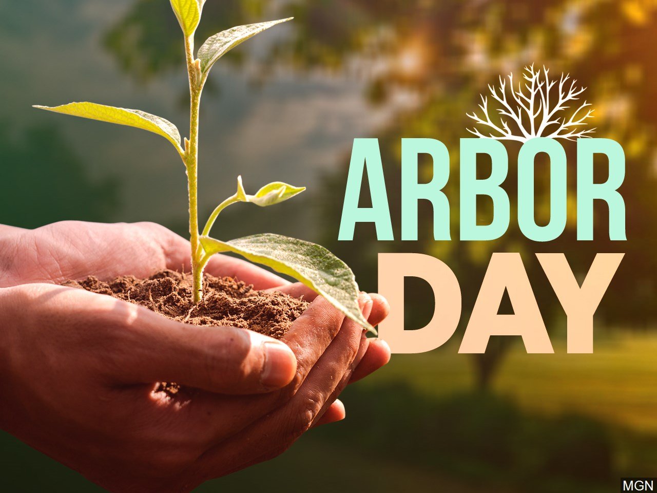 Founding city holds weekendlong Arbor Day celebration