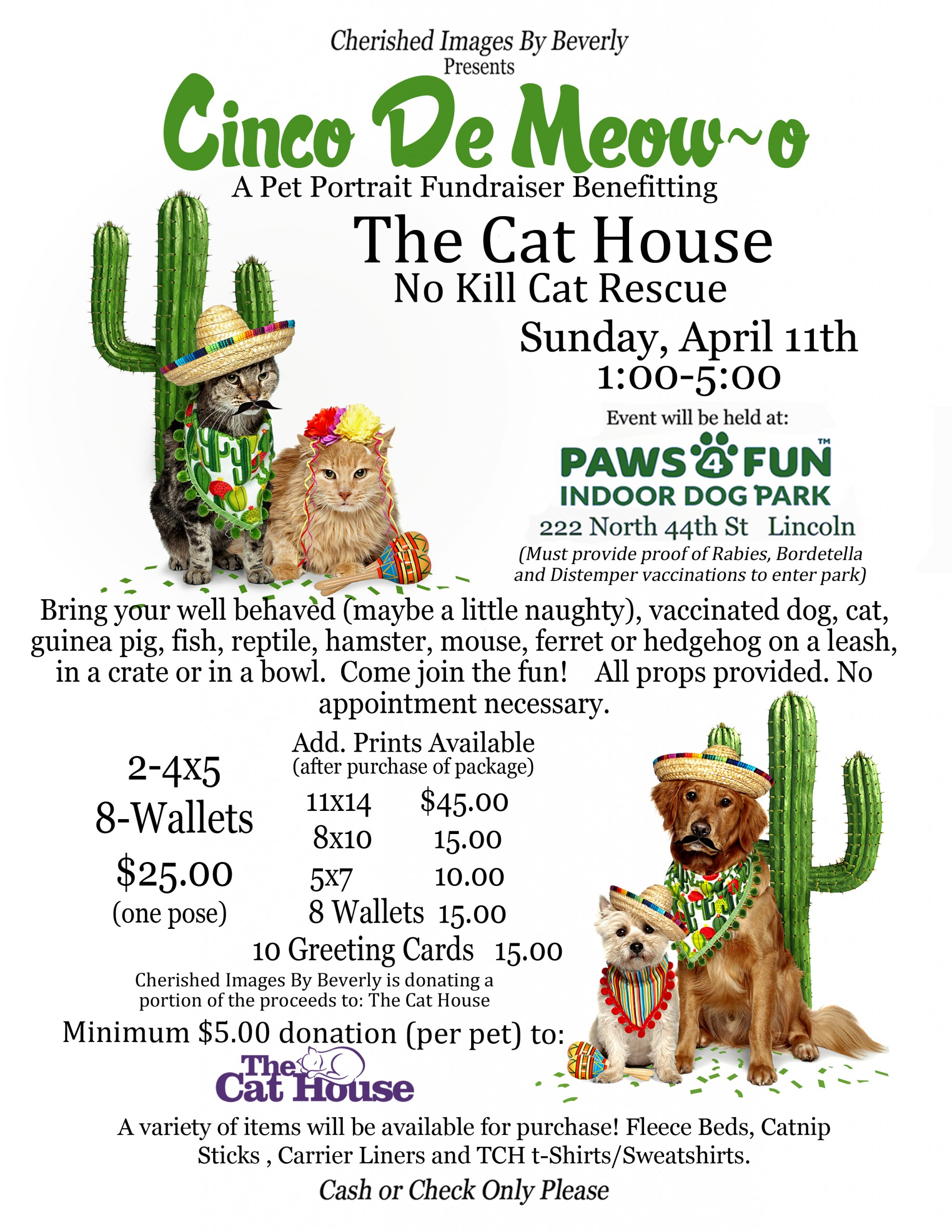 Pet portrait fundraiser to benefit The Cat House