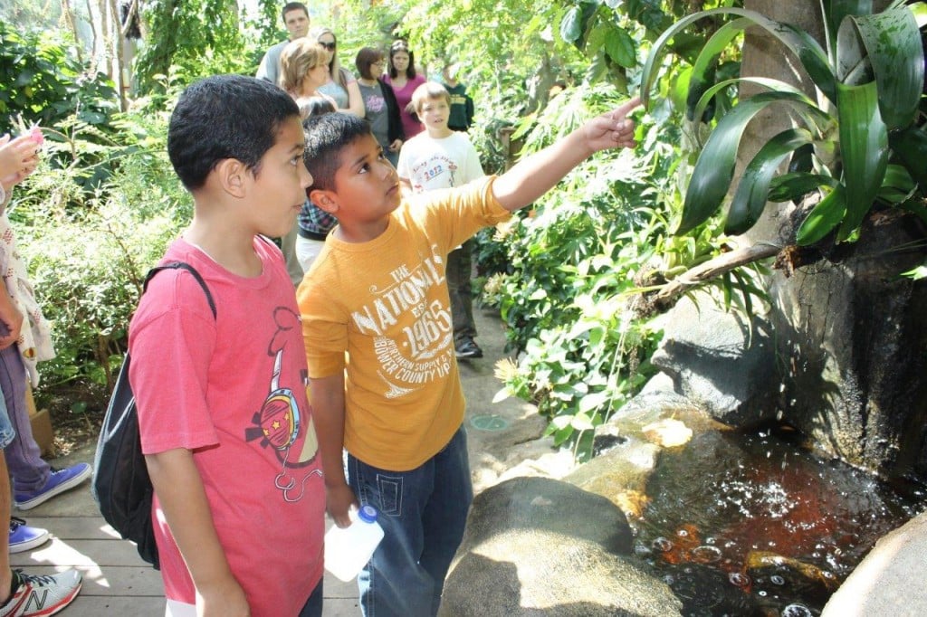 Kids at the Butterfly Pavilion.