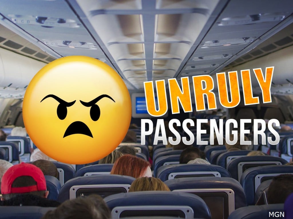 Airline coalition pushes for stricter punishment for unruly passenger