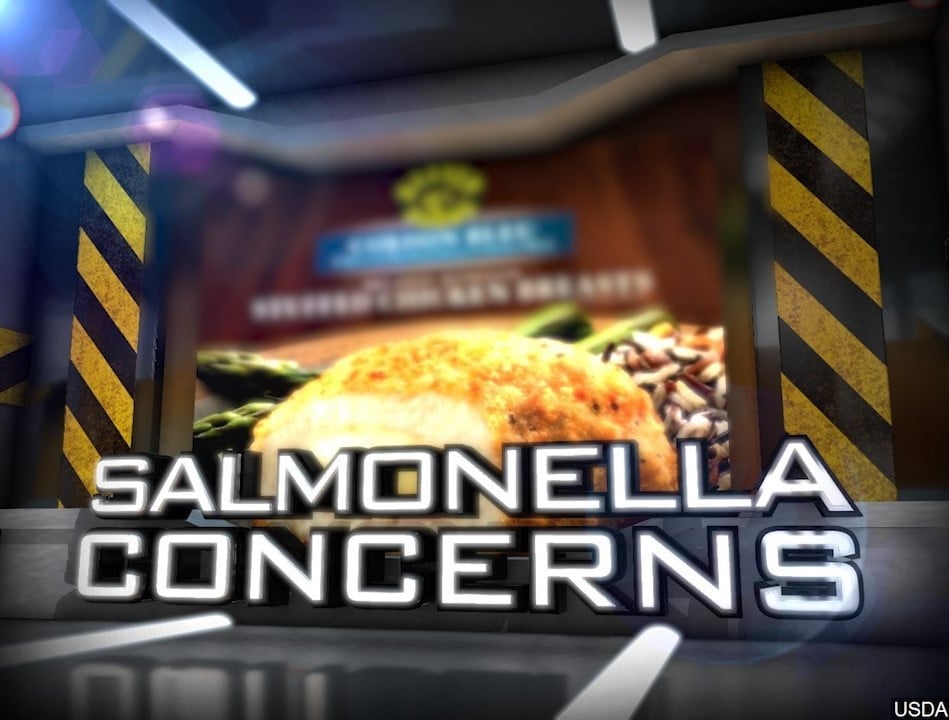 Salmonella Concerns