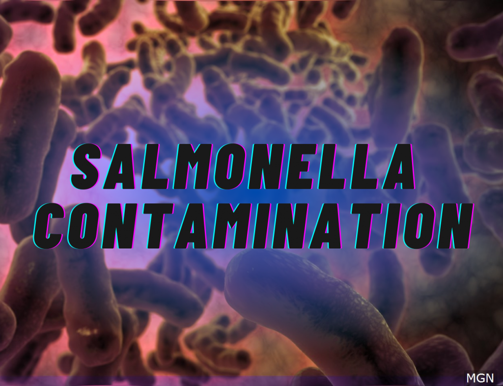 Salmonella Contamination