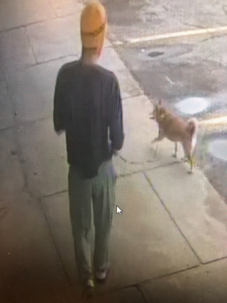 La Vista