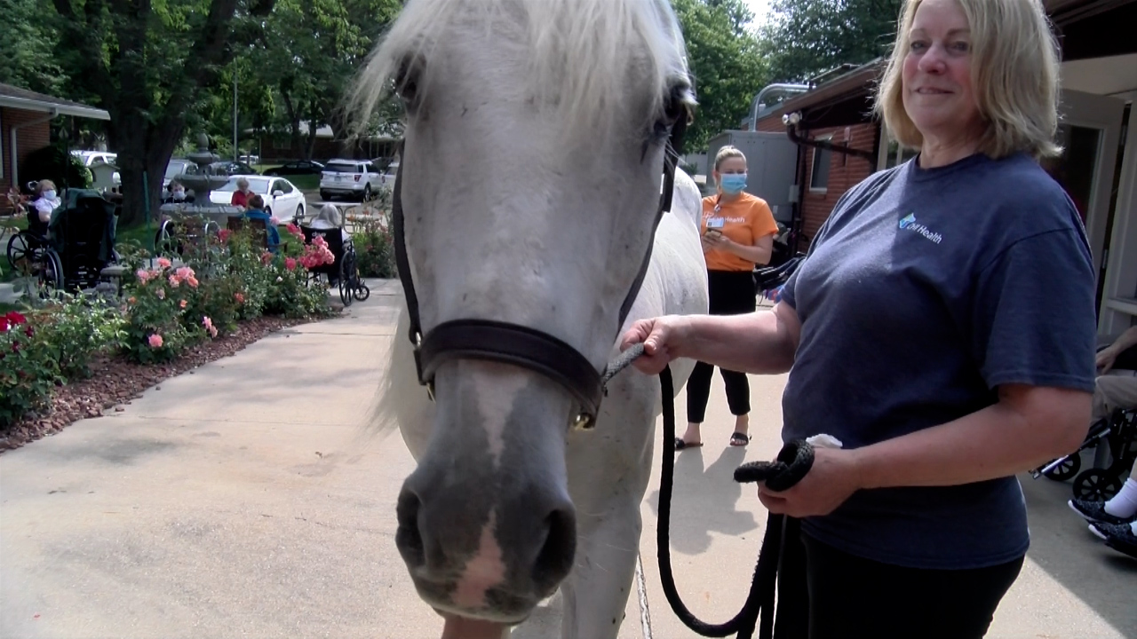 Seniors get emotional lift from CHI Health horse therapy visits - Vimarsana News