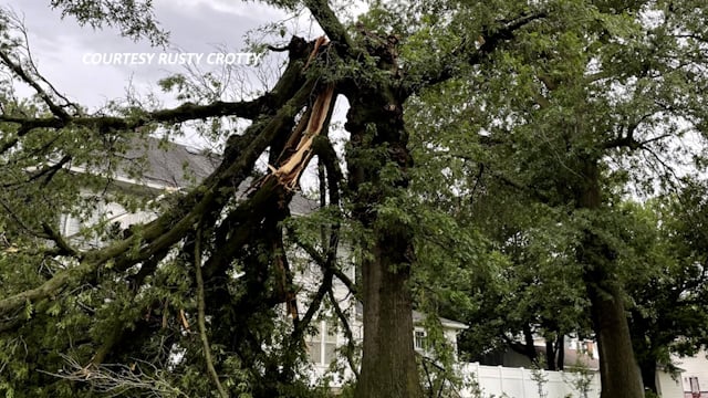 Auburn family home grazed by pine oak tree in storm