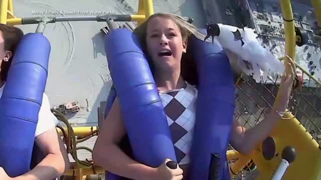 Girl Hit By Seagull