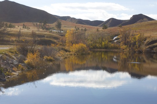 Health Alert issued for Bluestem, Johnson, Kirkman's Cove Lakes due to ...