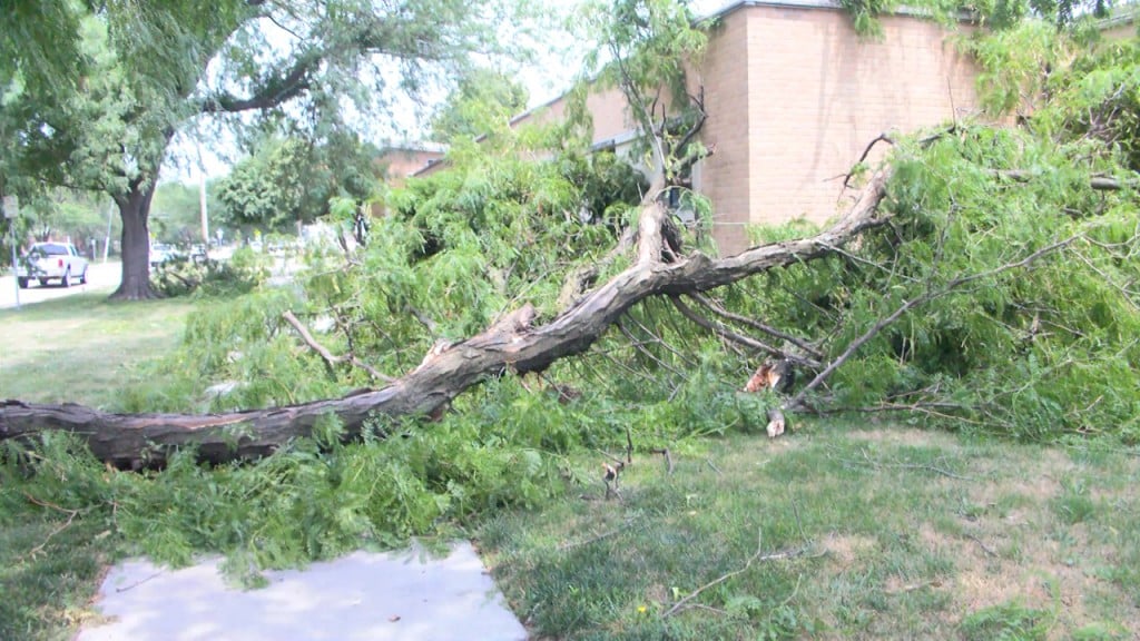 tree limb falls near centerpointe