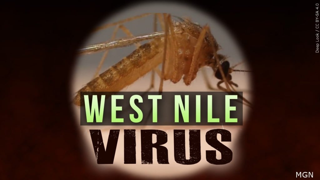West Nile Virus, mosquito